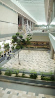 Changi Airport-03.jpg